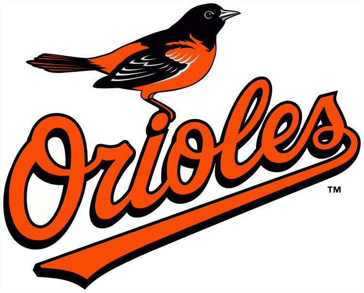 Baltimore Orioles 2009-2018 Primary Logo DIY iron on transfer (heat transfer)